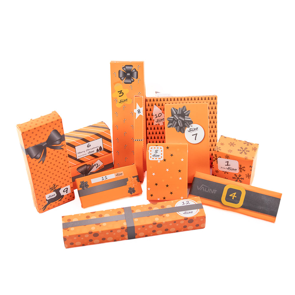 Vaunt E0113000 Vaunt 12 Days Of Christmas Essential Tools & Accessories Gift Box