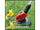 Einhell 3411172 EINGECT1824N GE-CT 18 Power X-Change Grass Trimmer 18V Bare Unit