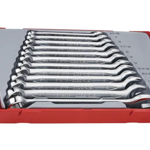 Teng Tools Metric Combination Spanner Set, 12 Piece TT1236